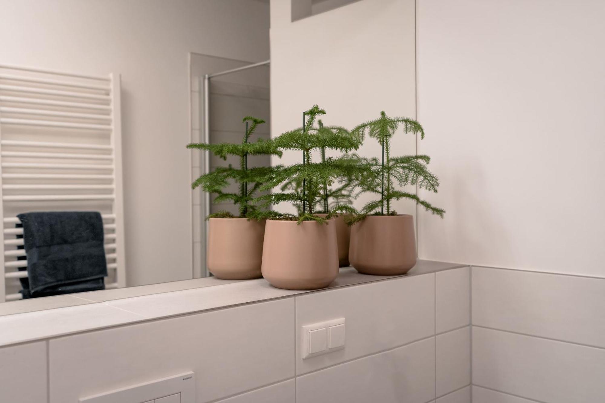 Ferienwohnung Altstadt Ρέγκενσμπουργκ Εξωτερικό φωτογραφία